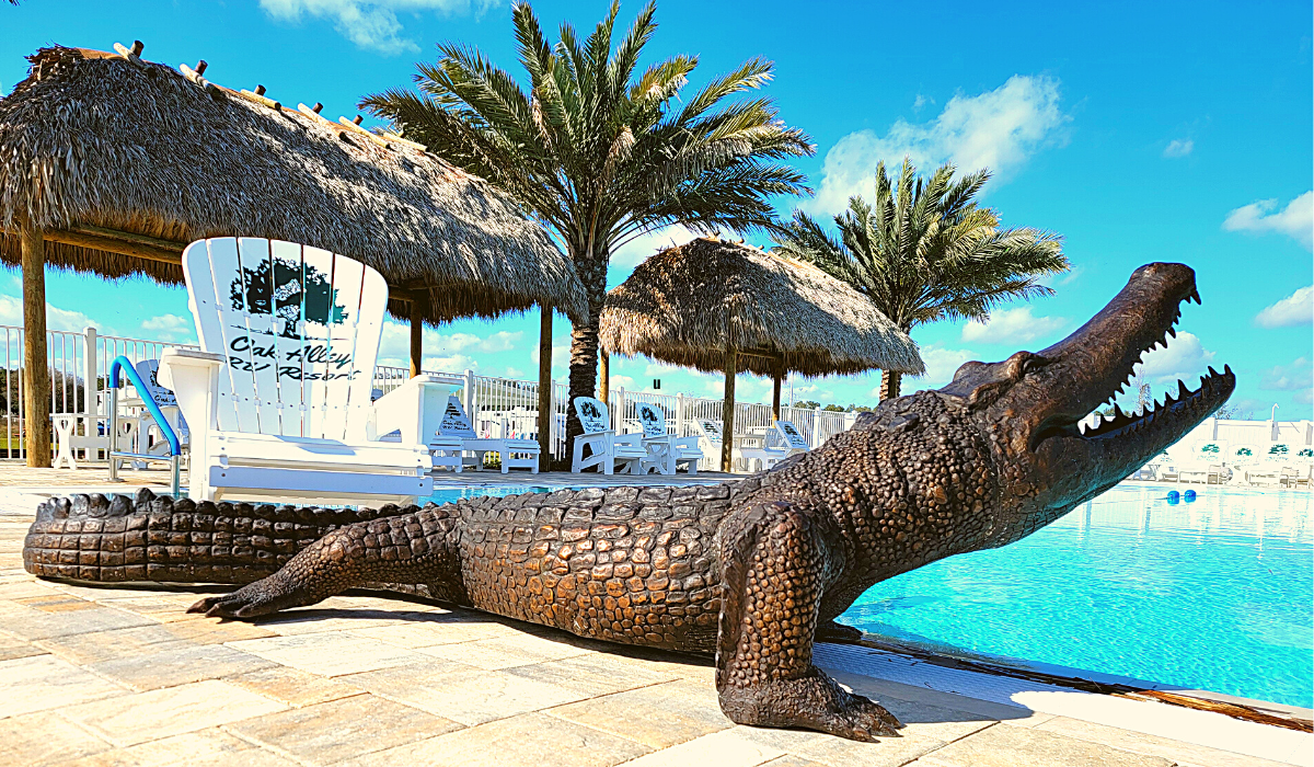a view of the pool with the alligator at the edge