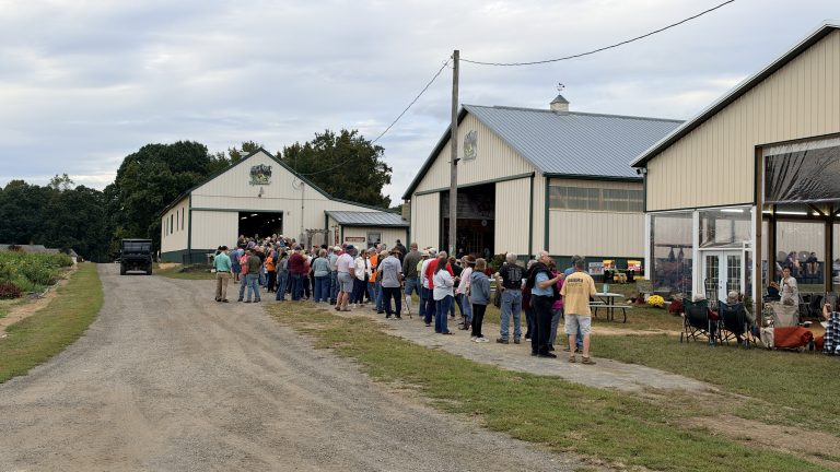 Villagers gathering by the barns at Suttler Post Clydesdale Farm
